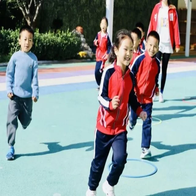 足球杯赛焦点对决解读：阵容视角新观察 专稿第12313期